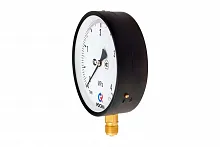 ТМ-610Р.00(0-1)MPa.M20х1,5.1,0 УТ000018960