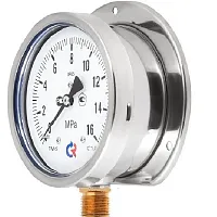 ТМ-620РКТ.00(0-6)MPa.М20х1,5.1,0 Зад. Фланец УТ-00000668