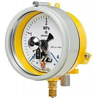 ДМ2005ф Сг1Ехd 2,5 МПа кл.1,5 исп V  УТ000010685