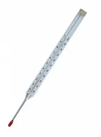 ТТЖ-П4 160/253 (0...+100)°С Коротыш УТ000018132